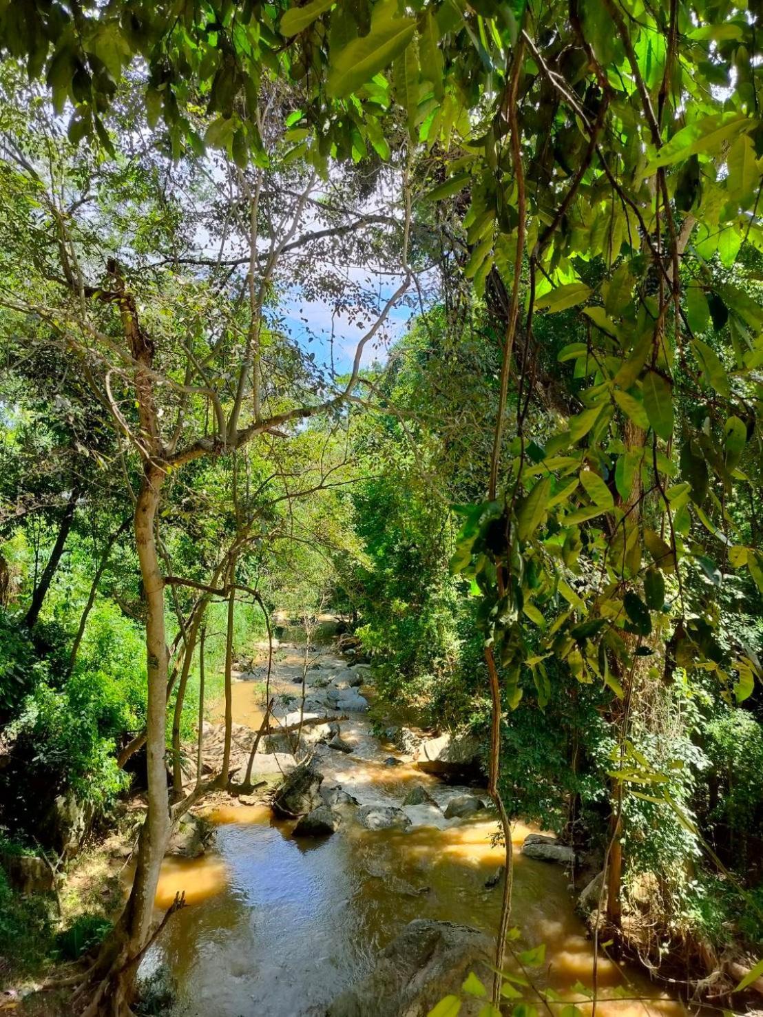 Maesa Greenery Hill Sha Merim Kültér fotó